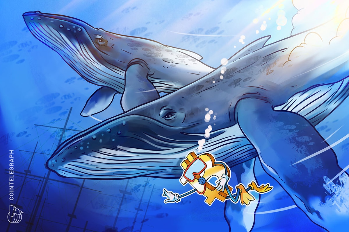 0M Bitcoin Whale Buys BTC as Another Returns After 8 Years