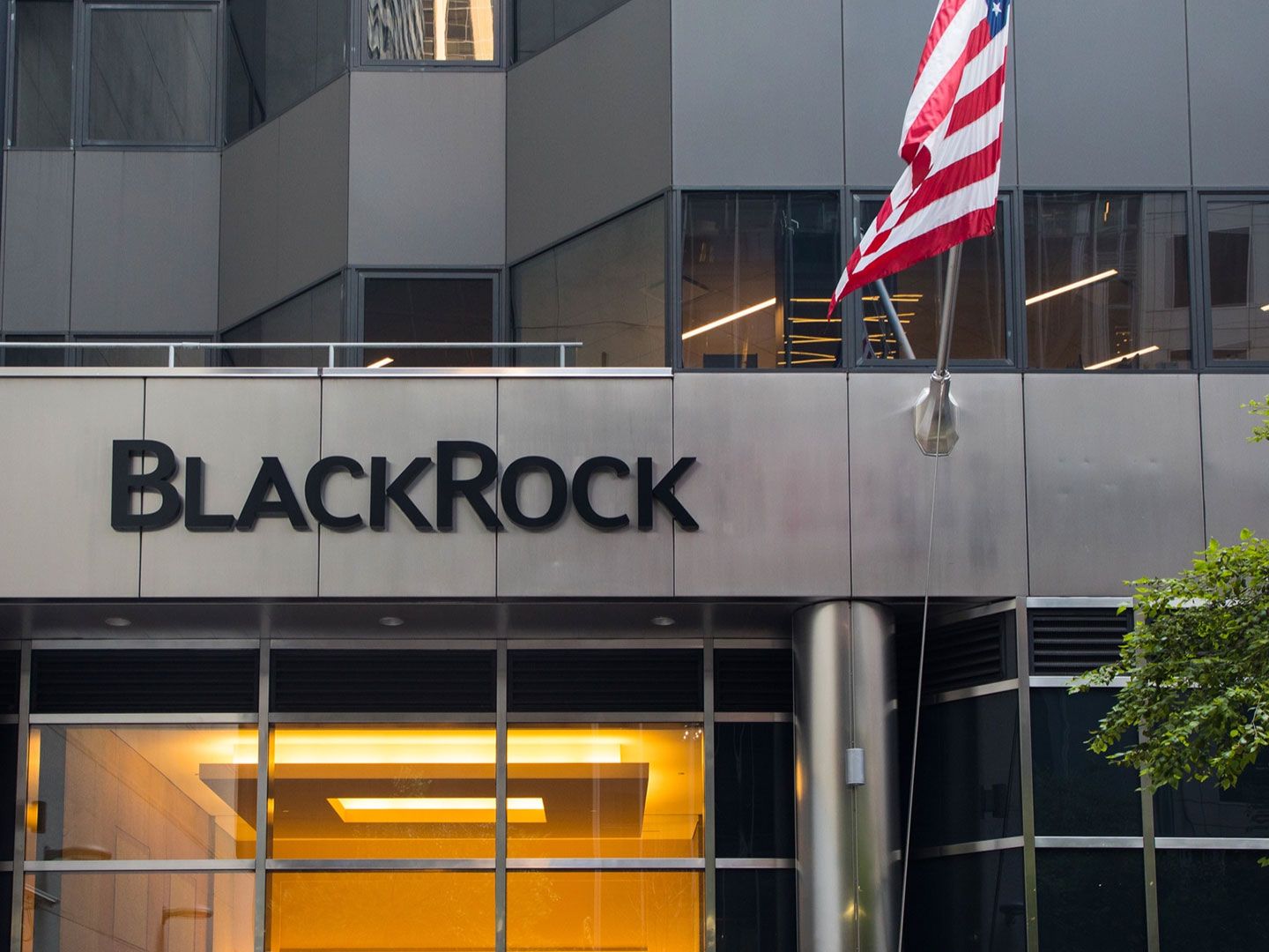 BlackRock Moves Tokenized Money Market Fund to Solana