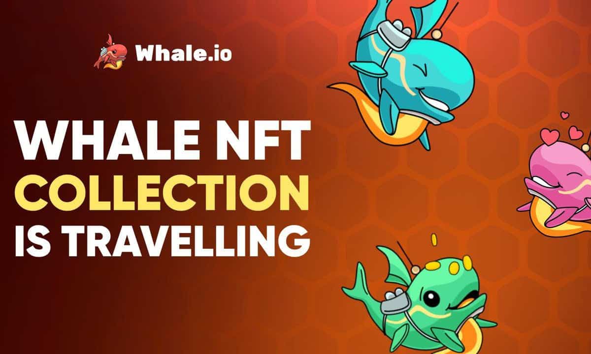Whale.io Bridges NFT Collection from TON to Solana