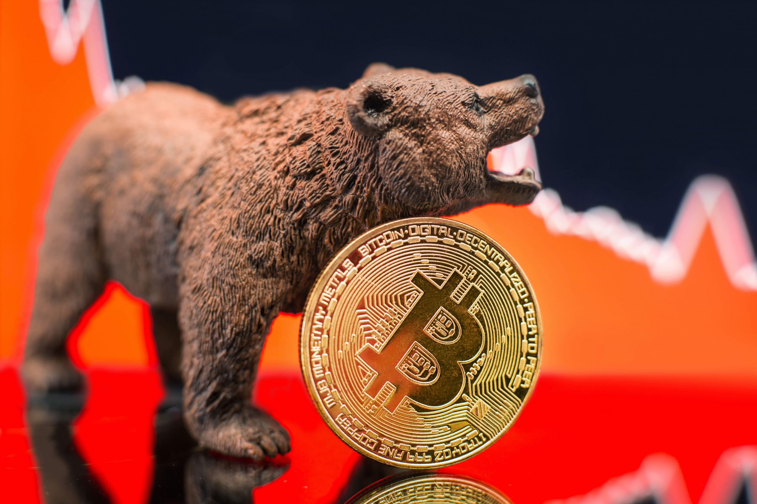 XRP, DOGE Outlook as Bitcoin Shows Bearish Double Top